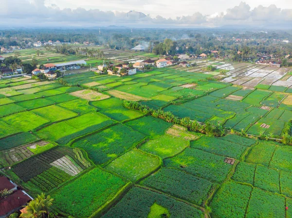 Αεροπλάνο Rice Terrace. Εικόνα από την όμορφη βεράντα ορυζώνες — Φωτογραφία Αρχείου