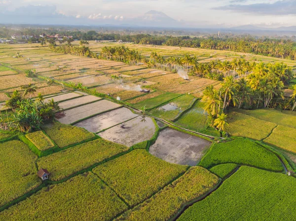 Αεροπλάνο Rice Terrace. Εικόνα από την όμορφη βεράντα ορυζώνες — Φωτογραφία Αρχείου