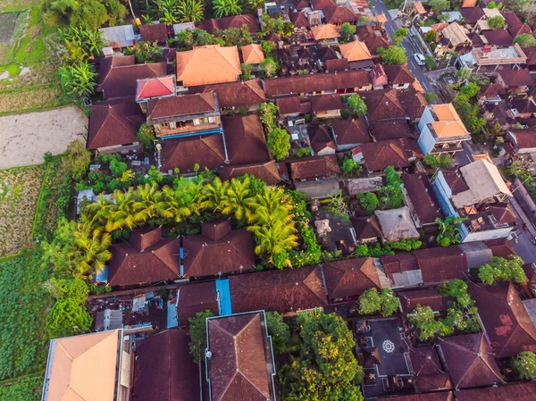 Many villas with brown-orange shingle roofs between tropical trees on the sky background in Ubud on Bali. Sun is shining onto them. Aerial horizontal photo