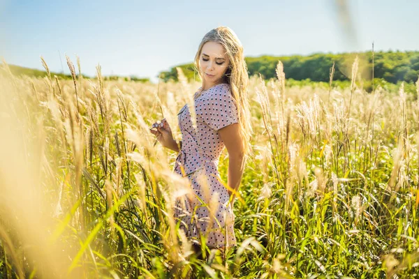 Junge schöne Frau in herbstlicher Landschaft mit trockenen Blumen, Weizenspitzen. Mode Herbst, Winter. sonniger Herbst, Modefoto — Stockfoto