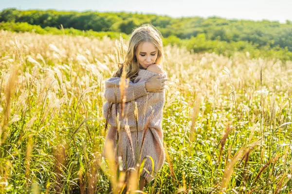 Młoda piękna kobieta w jesień krajobraz z suchych kwiatów, pszenicy kolce. Moda Jesień, zima. Słoneczny, przytulne swetry jesień. Fotografia mody — Zdjęcie stockowe