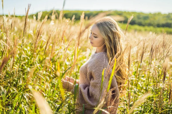 Giovane bella donna nel paesaggio autunnale con fiori secchi, spuntoni di grano. Moda autunno, inverno. Autunno soleggiato, maglione autunno accogliente. foto di moda — Foto Stock