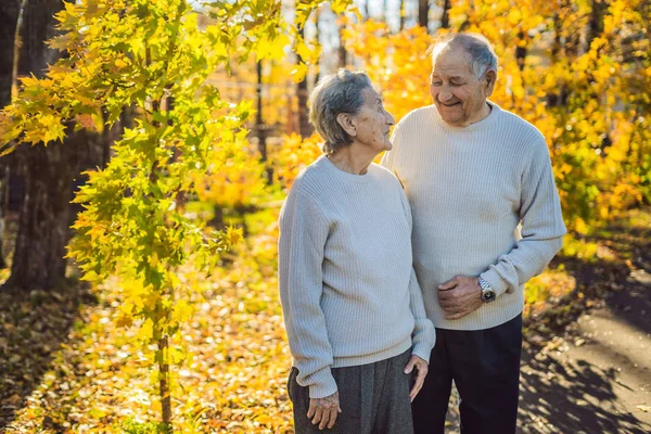 Buoni anziani nella foresta autunnale. famiglia, età, stagione e concetto di persone - felice coppia anziana camminando su sfondo alberi autunnali — Foto Stock