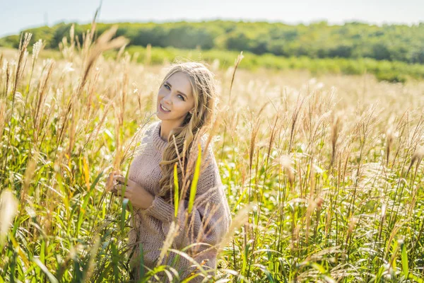 Young beautiful woman in autumn landscape with dry flowers, wheat spikes. Fashion autumn, winter. Sunny autumn, Cozy autumn sweater. fashion photo