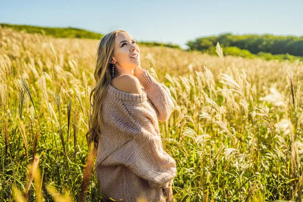 Młoda piękna kobieta w jesień krajobraz z suchych kwiatów, pszenicy kolce. Moda Jesień, zima. Słoneczny, przytulne swetry jesień. Fotografia mody — Zdjęcie stockowe