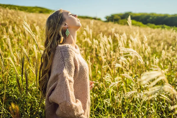 Młoda piękna kobieta w jesień krajobraz z suchych kwiatów, pszenicy kolce. Moda Jesień, zima. Słoneczny, przytulne swetry jesień. Fotografia mody — Zdjęcie stockowe