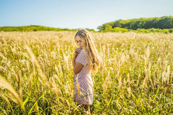 Mujer hermosa joven en el paisaje de otoño con flores secas, espigas de trigo. Moda otoño, invierno. Otoño soleado, foto de moda —  Fotos de Stock