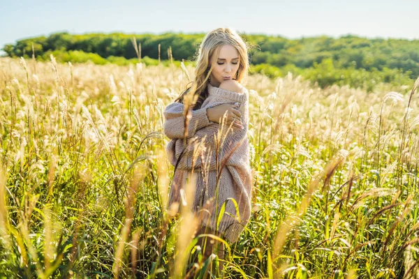 Junge schöne Frau in herbstlicher Landschaft mit trockenen Blumen, Weizenspitzen. Mode Herbst, Winter. sonniger Herbst, kuscheliger Herbstpullover. Modefoto — Stockfoto