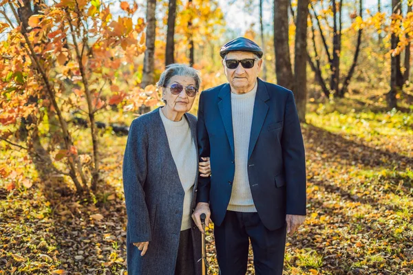 Gepensioneerden in zonnebrillen in het najaarsbos. Gepensioneerden zoals gangsters — Stockfoto