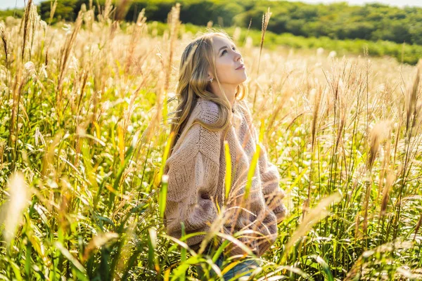 Junge schöne Frau in herbstlicher Landschaft mit trockenen Blumen, Weizenspitzen. Mode Herbst, Winter. sonniger Herbst, kuscheliger Herbstpullover. Modefoto — Stockfoto