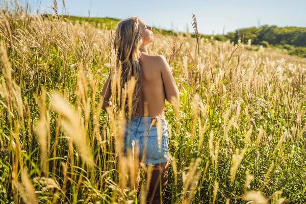 Junge schöne Frau in herbstlicher Landschaft mit trockenen Blumen, Weizenspitzen. Mode Herbst, Winter. sonniger Herbst, Modefoto — Stockfoto