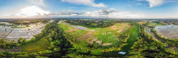 Lanzamiento aéreo de Rice Terrace. Imagen de la hermosa terraza campo de arroz —  Fotos de Stock