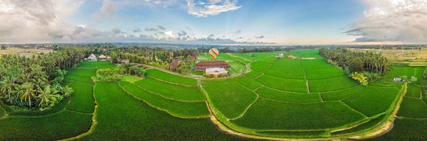 Balão de ar quente sobre o campo de arrozal verde. Composição da natureza e fundo céu azul. Conceito de viagem — Fotografia de Stock