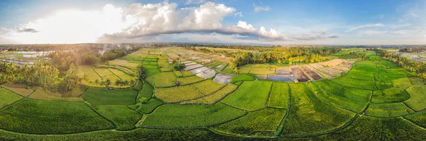 Lanzamiento aéreo de Rice Terrace. Imagen de la hermosa terraza campo de arroz —  Fotos de Stock