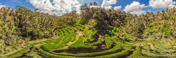 Rice Terrace Aerial Shot. Immagine di bella terrazza campo di riso — Foto Stock