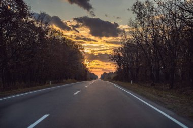 Asfalt dağ yolu ile renkli sonbahar ormanı ile muhteşem bir manzara. Sonbaharda boş yol, ağaçlar ve güneş ışığı ile güzel manzara. Seyahat geçmişi. Doğa