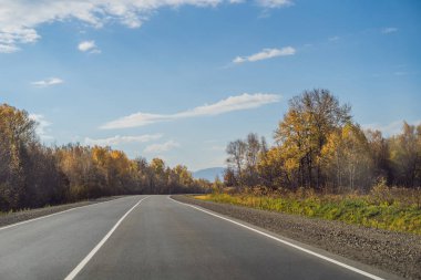 Asfalt dağ yolu ile renkli sonbahar ormanı ile muhteşem bir manzara. Sonbaharda boş yol, ağaçlar ve güneş ışığı ile güzel manzara. Seyahat geçmişi. Doğa