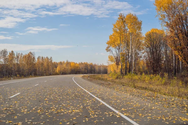 Niesamowity widok z kolorowym jesiennym lasem z asfaltową górską drogą. Piękny krajobraz z pustymi drogami, drzewami i światłem słonecznym jesienią. Tło podróży. Natura — Zdjęcie stockowe