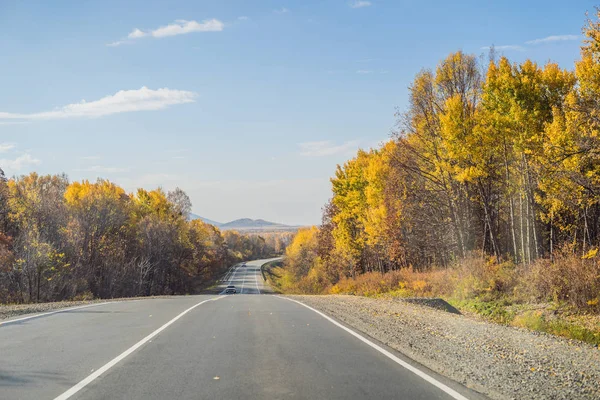 Niesamowity widok z kolorowym jesiennym lasem z asfaltową górską drogą. Piękny krajobraz z pustymi drogami, drzewami i światłem słonecznym jesienią. Tło podróży. Natura — Zdjęcie stockowe