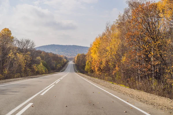 Vista incrível com floresta de outono colorido com estrada de montanha de asfalto. Bela paisagem com estrada vazia, árvores e luz solar no outono. Fundo de viagem. Natureza — Fotografia de Stock