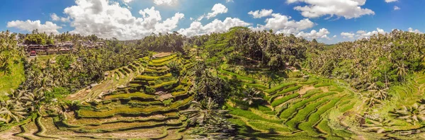 Rice Terrace Aerial Shot. Immagine di bella terrazza campo di riso — Foto Stock