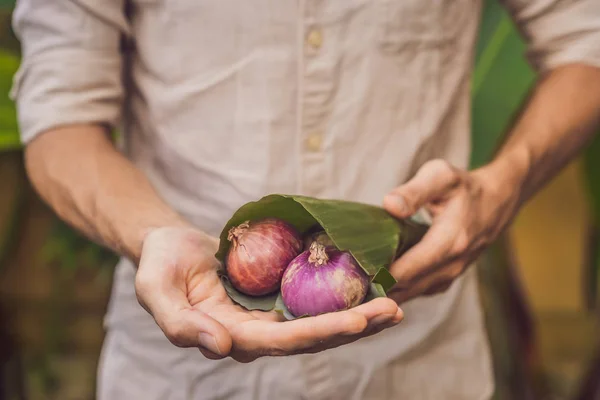 Concepto de envasado de productos ecológicos. Cebolla envuelta en una hoja de plátano, como alternativa a una bolsa de plástico. Concepto de cero residuos. Envases alternativos — Foto de Stock