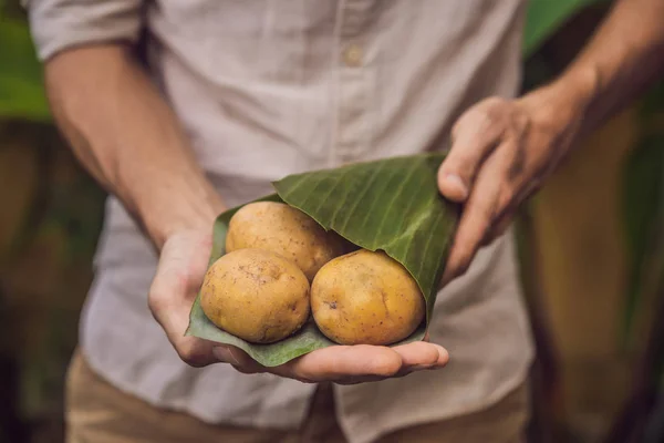 Eco-friendly product packaging concept. Potato wrapped in a banana leaf, as an alternative to a plastic bag. Zero waste concept. Alternative packaging