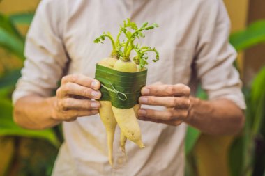 Çevre dostu ürün ambalaj konsepti. Daikon bir muz yaprağı sarılmış, plastik bir torba alternatif olarak. Sıfır atık kavramı. Alternatif ambalaj