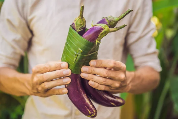 Eco-friendly product packaging concept. Eggplant wrapped in a banana leaf, as an alternative to a plastic bag. Zero waste concept. Alternative packaging