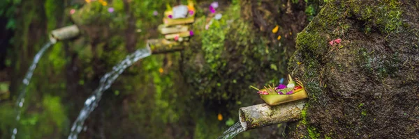 Tagesangebote - canang sari ist sehr wichtig in bali, indonesien banner, langes format — Stockfoto