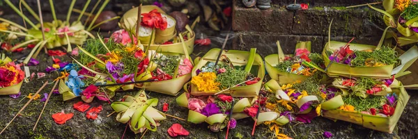 Ofertas diárias - canang sari é muito importante em Bali, Indonesia BANNER, LONG FORMAT — Fotografia de Stock