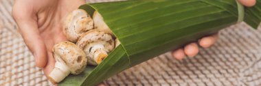 Banner, Uzun Format Çevre dostu ürün ambalaj konsepti. Mantarlar bir muz yaprağı sarılmış, plastik bir torba alternatif olarak. Sıfır atık kavramı. Alternatif ambalaj