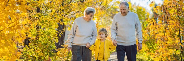 横幅,长格式老年夫妇与小孙子在秋天公园。曾祖母、曾祖父和曾孙 — 图库照片
