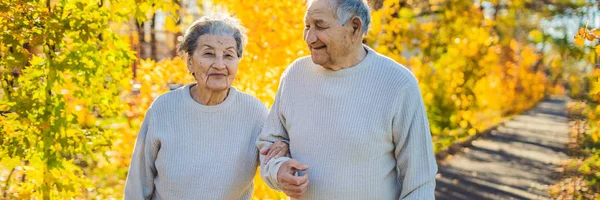 BANNER, FORMATO LARGO Felices personas mayores en el bosque de otoño. familia, edad, estación y concepto de personas - feliz pareja de ancianos caminando sobre los árboles de otoño fondo — Foto de Stock