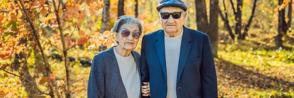 Pensionärer i solglasögon i skogen höst. Pensionärer som gangsters Banner, långt Format — Stockfoto