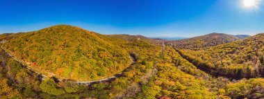 Gün batımında güzel bir sonbahar ormanında yol manzarası. Boş kırsal yolu olan güzel bir manzara, kırmızı ve turuncu yapraklı ağaçlar. Parkın içinden otoyol. Uçan İHA 'nın üst görüntüsü. Doğa
