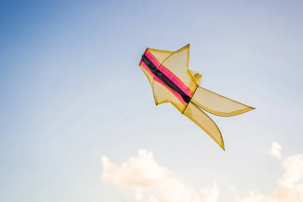 Kite flying in the sky among the clouds — Stock Photo, Image