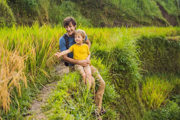 Otec a syn cestující na krásných rýžových terasách na pozadí slavných sopek na Bali, Indonésie cestování s dětským konceptem — Stock fotografie