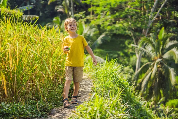 Niño en plantación de arroz en cascada verde. Bali, Indonesia Viajando con concepto de niños. Enseñar a los niños en la práctica — Foto de Stock