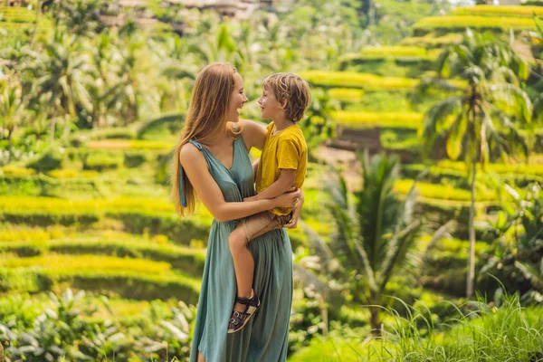 Мама и сын на рисовом поле на фоне рисовых террас, Убуд, Бали, Индонезия. Путешествие с детской концепцией. Обучение детей на практике — стоковое фото