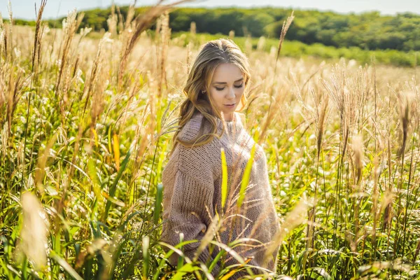 Jeune belle femme dans le paysage d'automne avec des fleurs sèches, des pointes de blé. Mode automne, hiver. Automne ensoleillé, pull d'automne confortable. photo de mode — Photo
