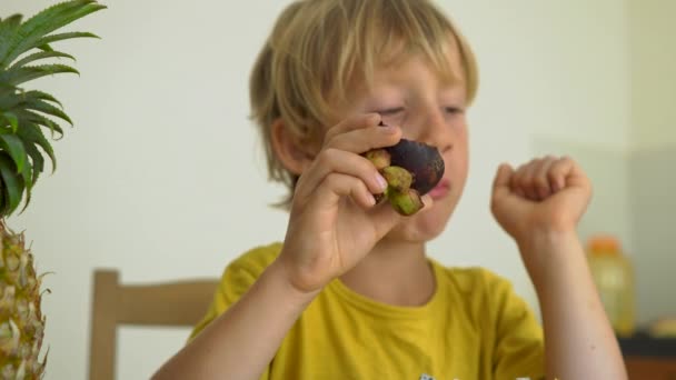 Sarı gömlekli küçük bir çocuk mangosten yiyor. Bir masa üzerinde döşeme tropikal meyve Lots onu çevreleyen. Sağlıklı gıda konsepti — Stok video