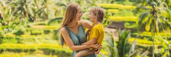 Banner, Long format Mama i syn na polu ryżu w tle tarasów ryżowych, Ubud, Bali, Indonezja. Podróżowanie z koncepcją dla dzieci. Nauczanie dzieci w praktyce — Zdjęcie stockowe