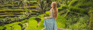 Banner, uzun Format güzel genç kadın pirinç tarım, dağ şekli yeşil Cascade pirinç alan teraslar paddies ile tipik Asya yamaçta yürümek. Ubud, Bali, Endonezya. Bali seyahat konsepti