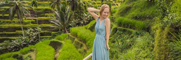 Banner, uzun Format güzel genç kadın pirinç tarım, dağ şekli yeşil Cascade pirinç alan teraslar paddies ile tipik Asya yamaçta yürümek. Ubud, Bali, Endonezya. Bali seyahat konsepti