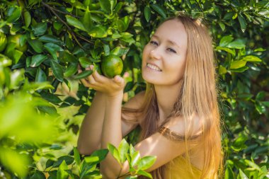 Çekici Çiftçi Kadının Portresi Organik Çiftlikte Portakal Hasat Ediyor, Mutluluk Ta Neşeli Kız, Bahçe, Tarım ve Plantasyon Konseptinde Portakal Hasat Ederken
