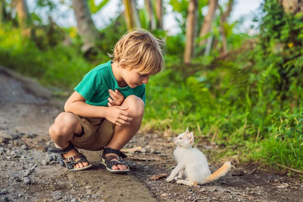 Petit garçon et petit chaton jouant dehors — Photo