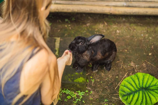 Kvinna som håller en kanin. Kosmetik test på kanin djur. Grymhet fri och stopp djur missbruk begreppen — Stockfoto