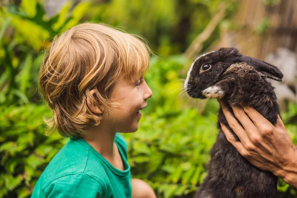 El chico alimenta al conejo. Prueba de cosméticos en animales de conejo. Crueldad libre y detener el concepto de abuso animal — Foto de Stock