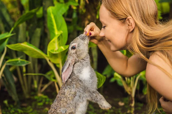 토끼를 들고 있는 여자. 토끼 동물에 화장품 테스트. 동물 학대 없는 동물 학대 개념 중지 — 스톡 사진